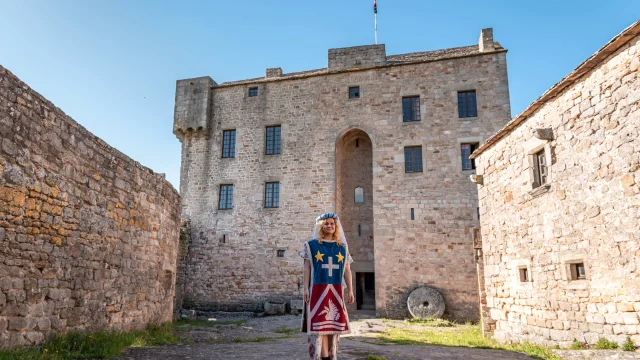 Chateau De Montaigutfoehn Photographie