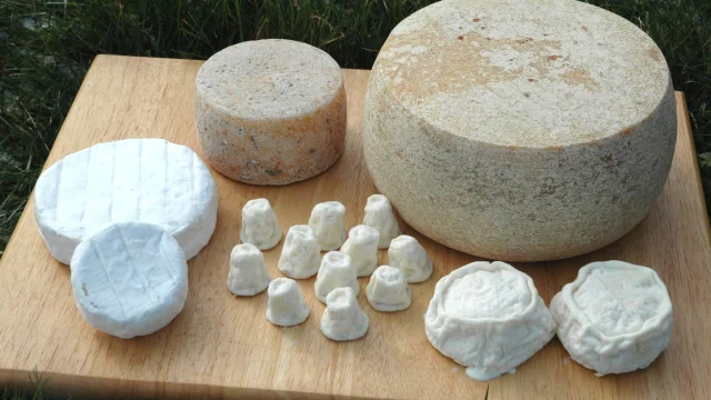 Fromagerie Du Masstephan Mas